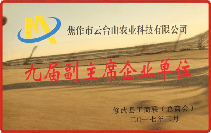 九届副主席企业单位
